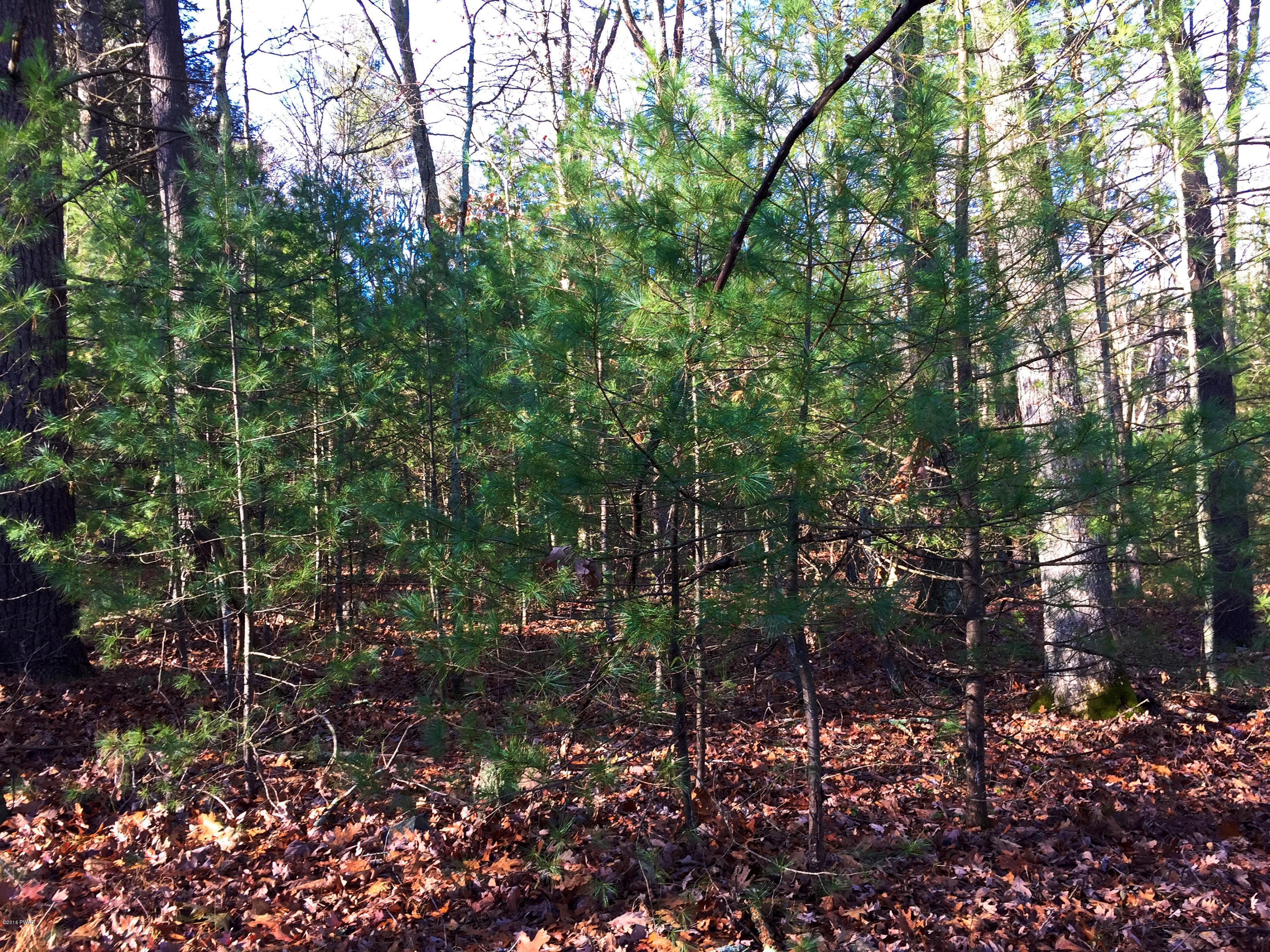 Lot 133 Silver Lake Road Dingmans Ferry, PA 18328 - Photo 5 of 15
