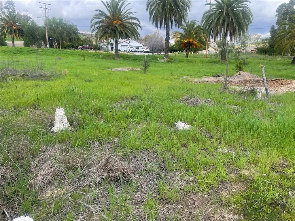 0 Bromley Lake Lake Elsinore, CA 92530 - Photo 3 of 8 a view of a garden with a tree