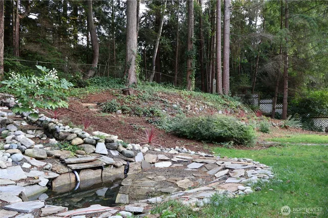 a view of a yard with plants and large trees