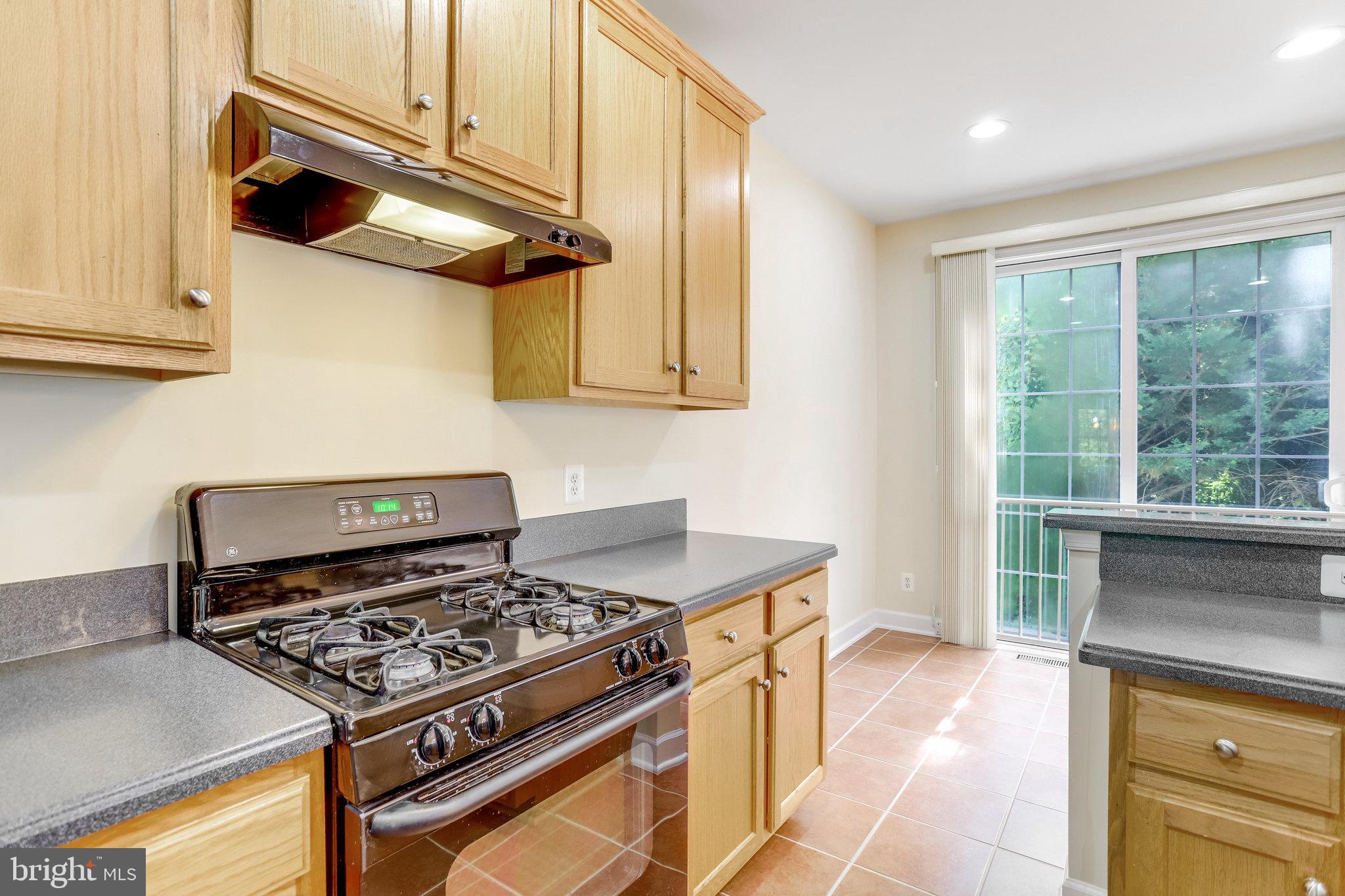 9291 Laurel Ridge Crossing Road Lorton, VA 22079 - Photo 34 of 78 Gallery Image 34