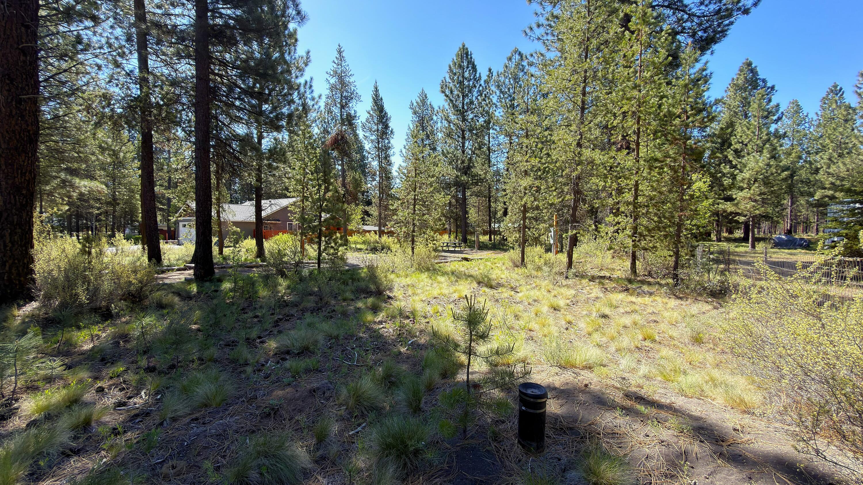 16999 Jacinto Road Bend, OR 97707 - Photo 17 of 38 a view of yard with green space