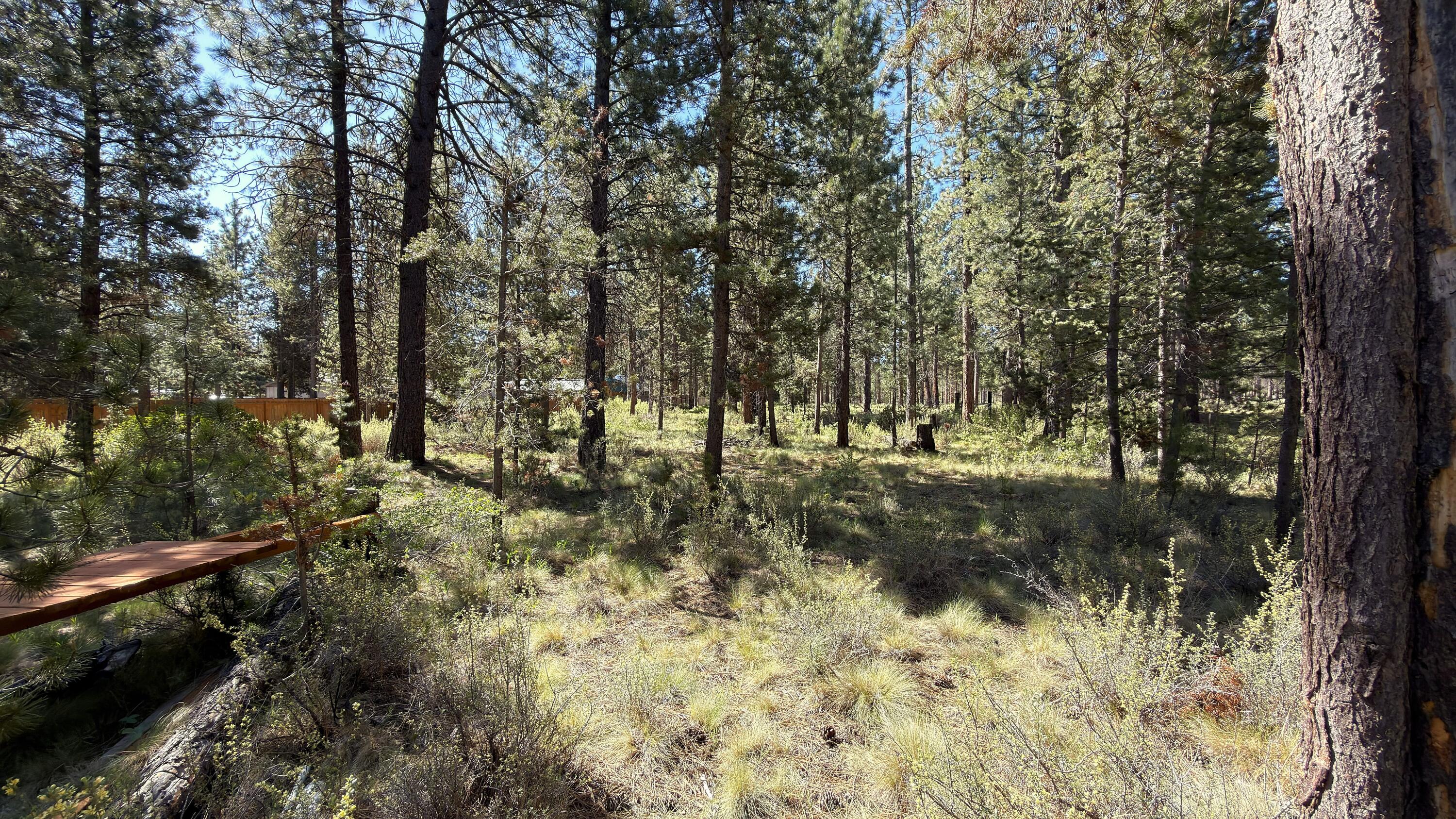 16999 Jacinto Road Bend, OR 97707 - Photo 20 of 38 a view of a yard with large trees