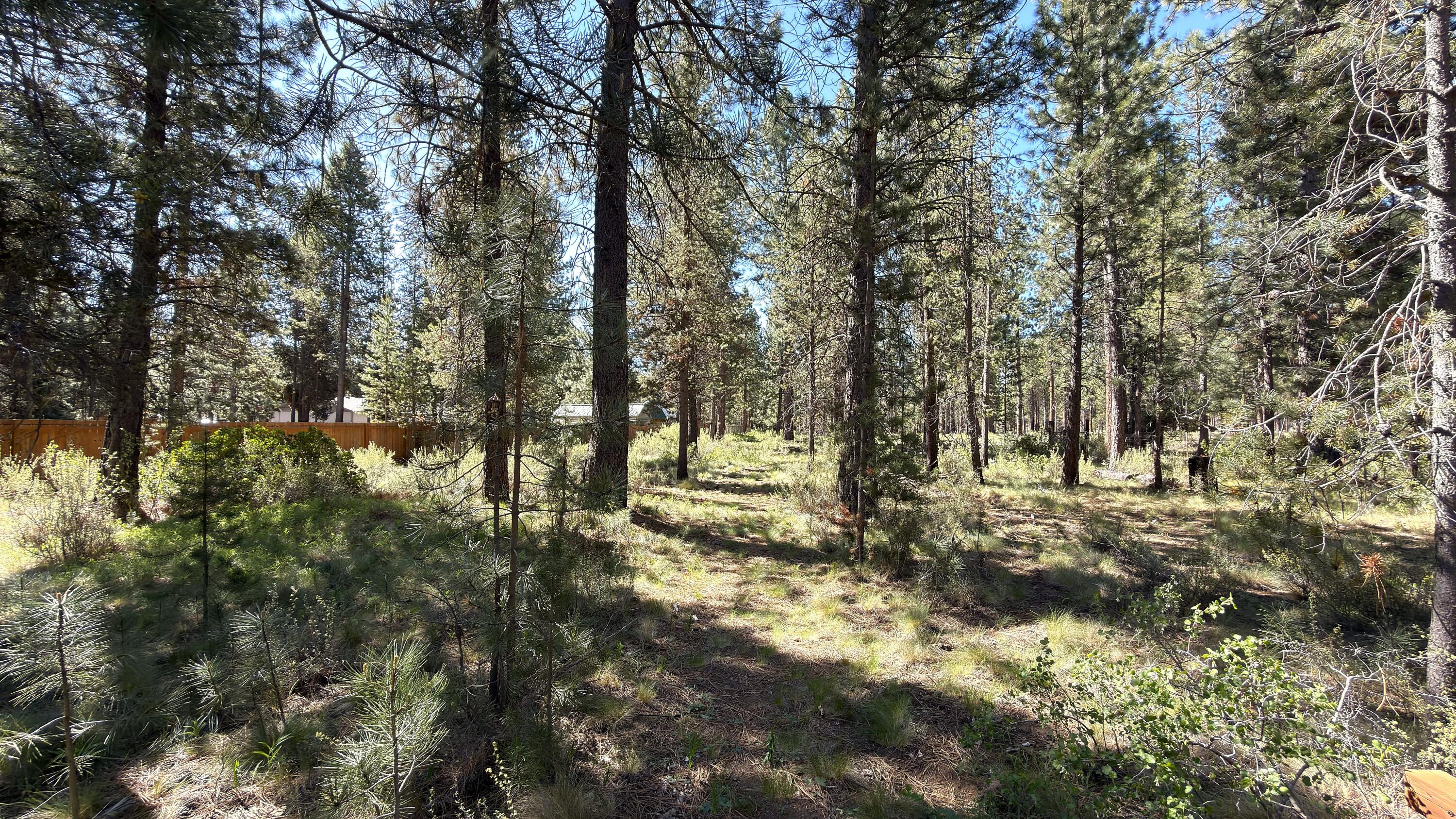 16999 Jacinto Road Bend, OR 97707 - Photo 21 of 38 a view of outdoor space and trees