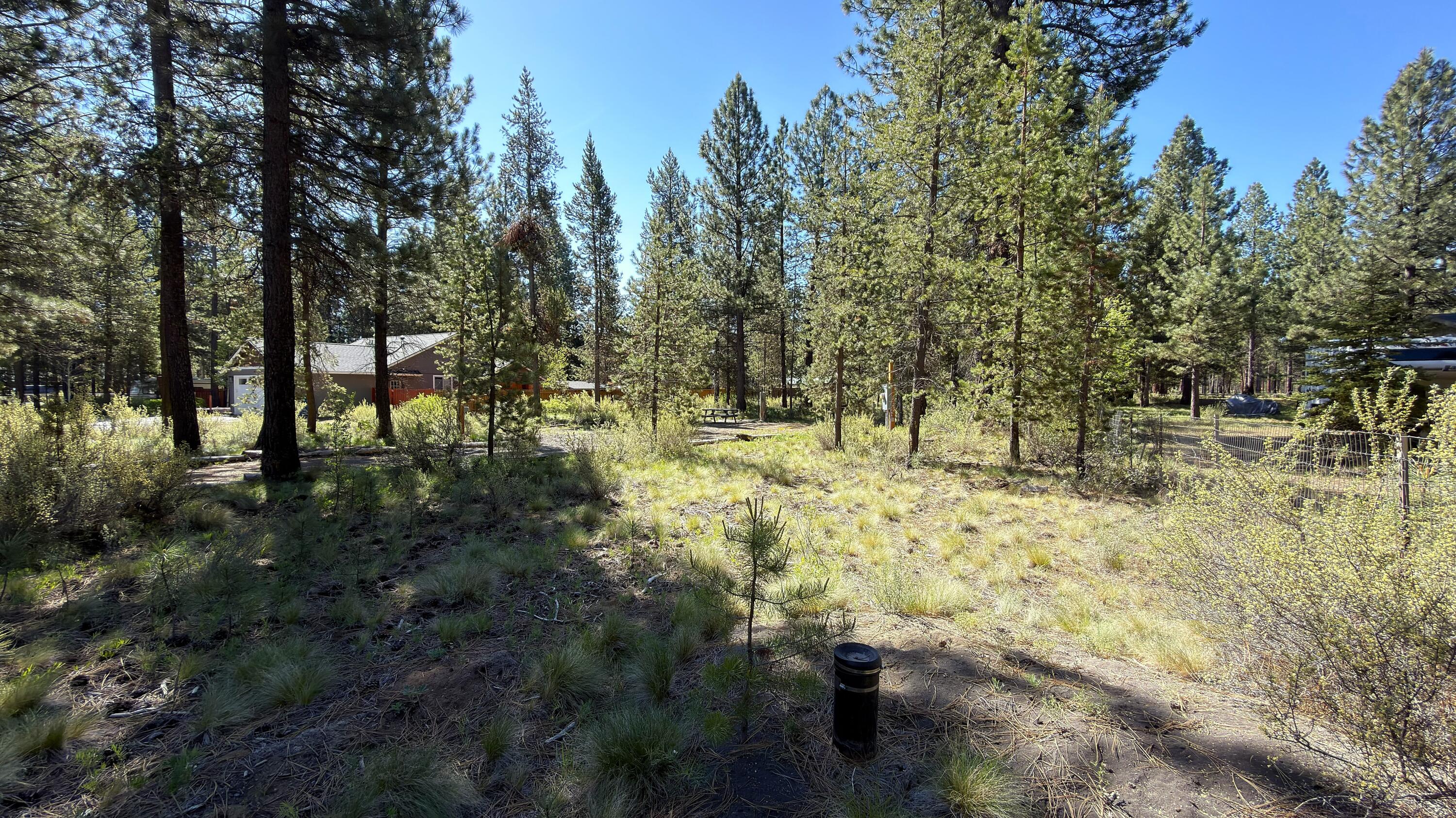 16999 Jacinto Road Bend, OR 97707 - Photo 5 of 38 a view of yard with trees