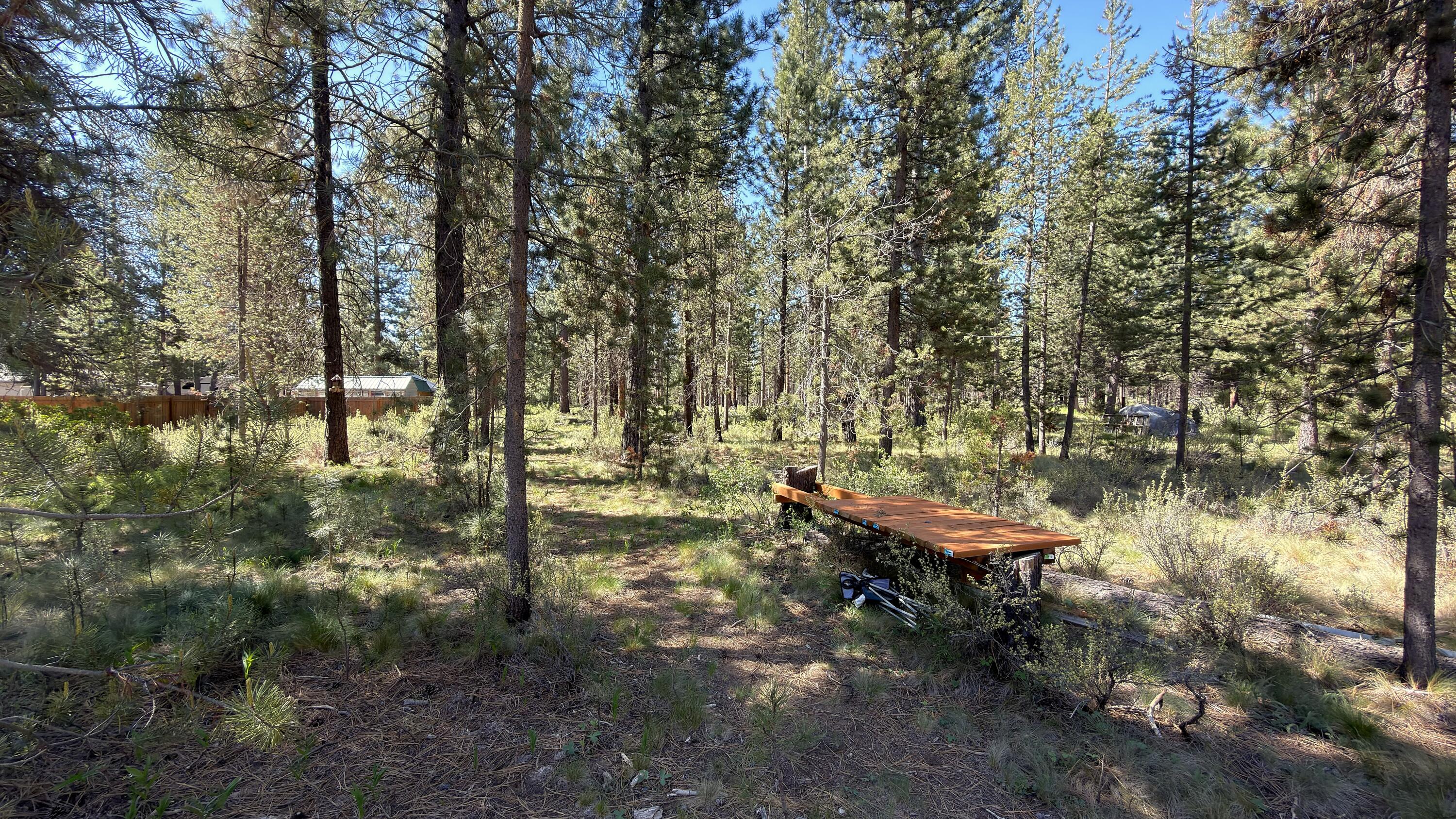 16999 Jacinto Road Bend, OR 97707 - Photo 9 of 38 a view of a yard with plants and trees