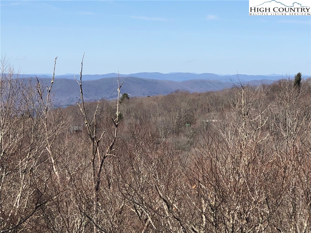 122 Tamarack Road Beech Mountain, NC 28604 - Photo 46 of 49 Gallery Image 46