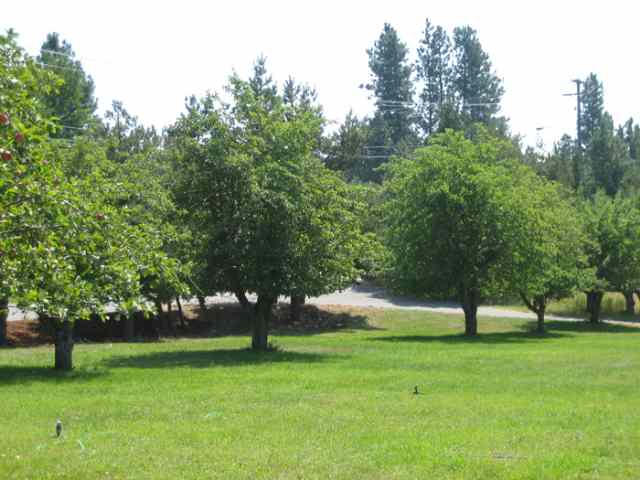 3508 South Adams Road Veradale, WA 99037 - Photo 8 of 9 Gallery Image 8