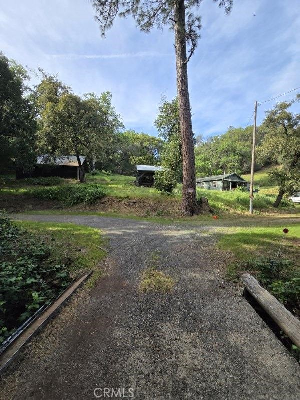 15305 Lake Arthur Road Auburn, CA 95602 - Photo 5 of 11 a view of outdoor space with trees