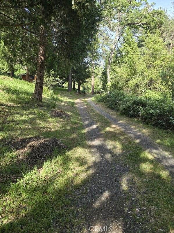 15305 Lake Arthur Road Auburn, CA 95602 - Photo 9 of 11 a view of a yard with a tree