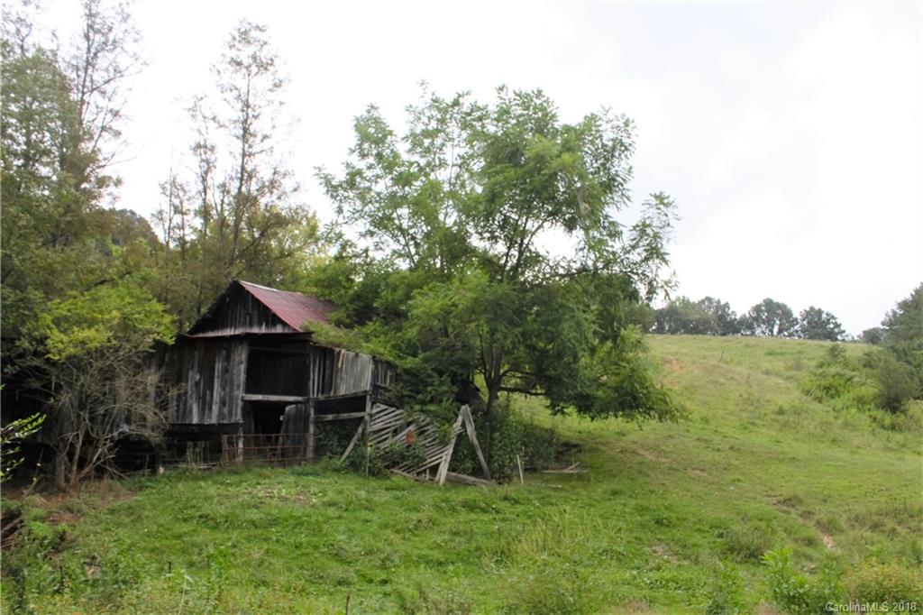 0 Robinson Farm Road Canton, NC 28716 - Photo 3 of 3
