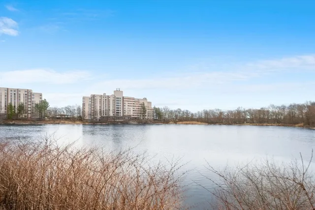 a view of a lake with tall building in front of it