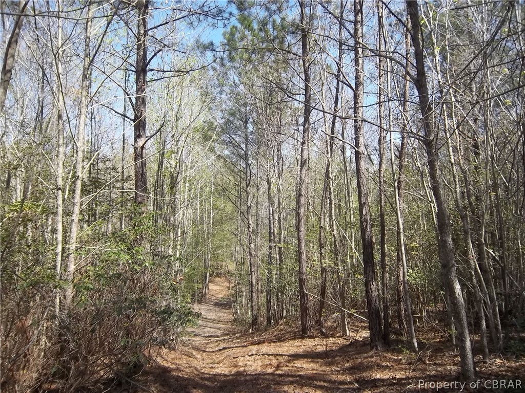 0 Water View Road Jamaica, VA 23079 - Photo 6 of 6