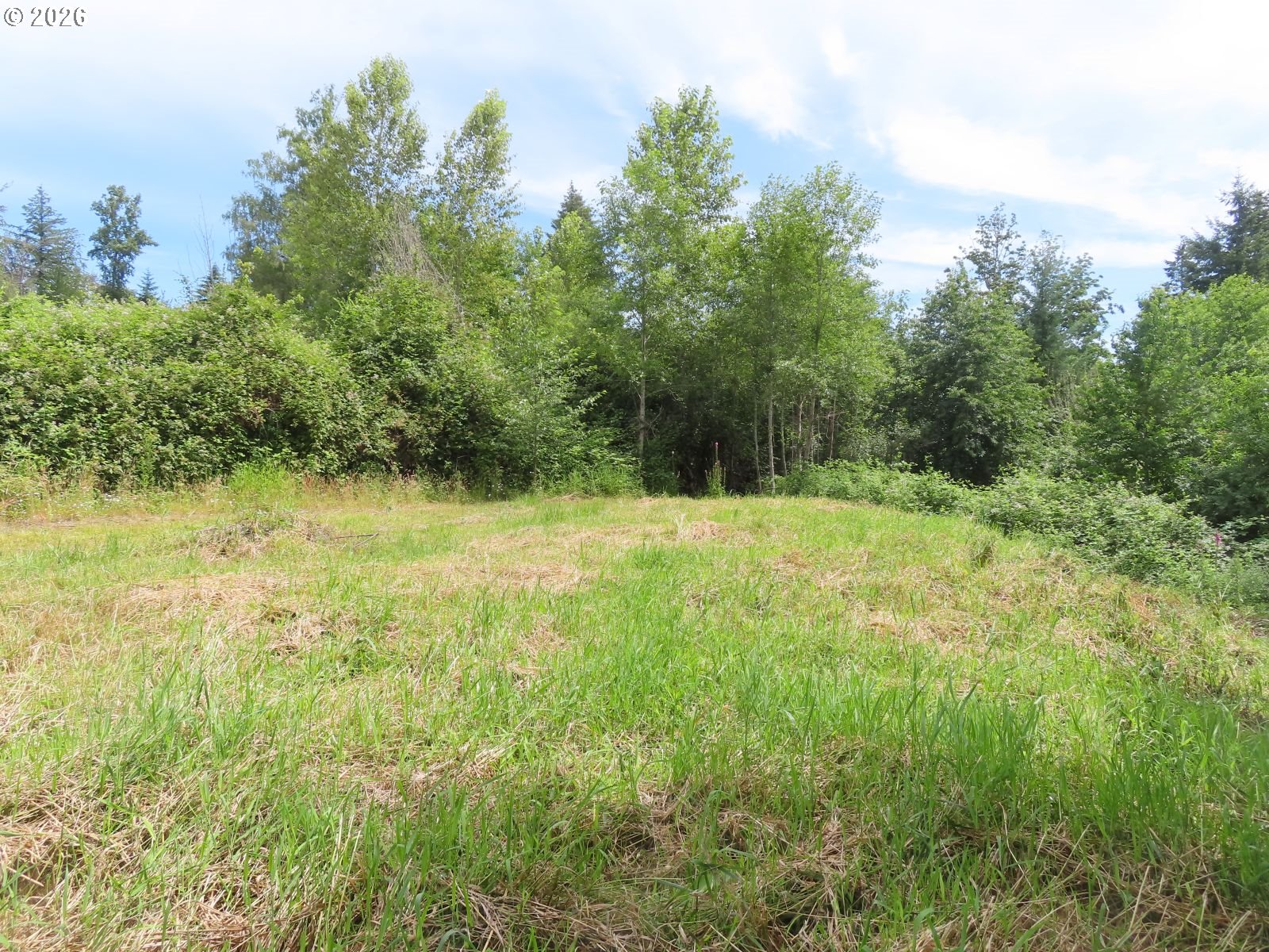 Coleman Road Mossyrock, WA 98564 - Photo 2 of 22
