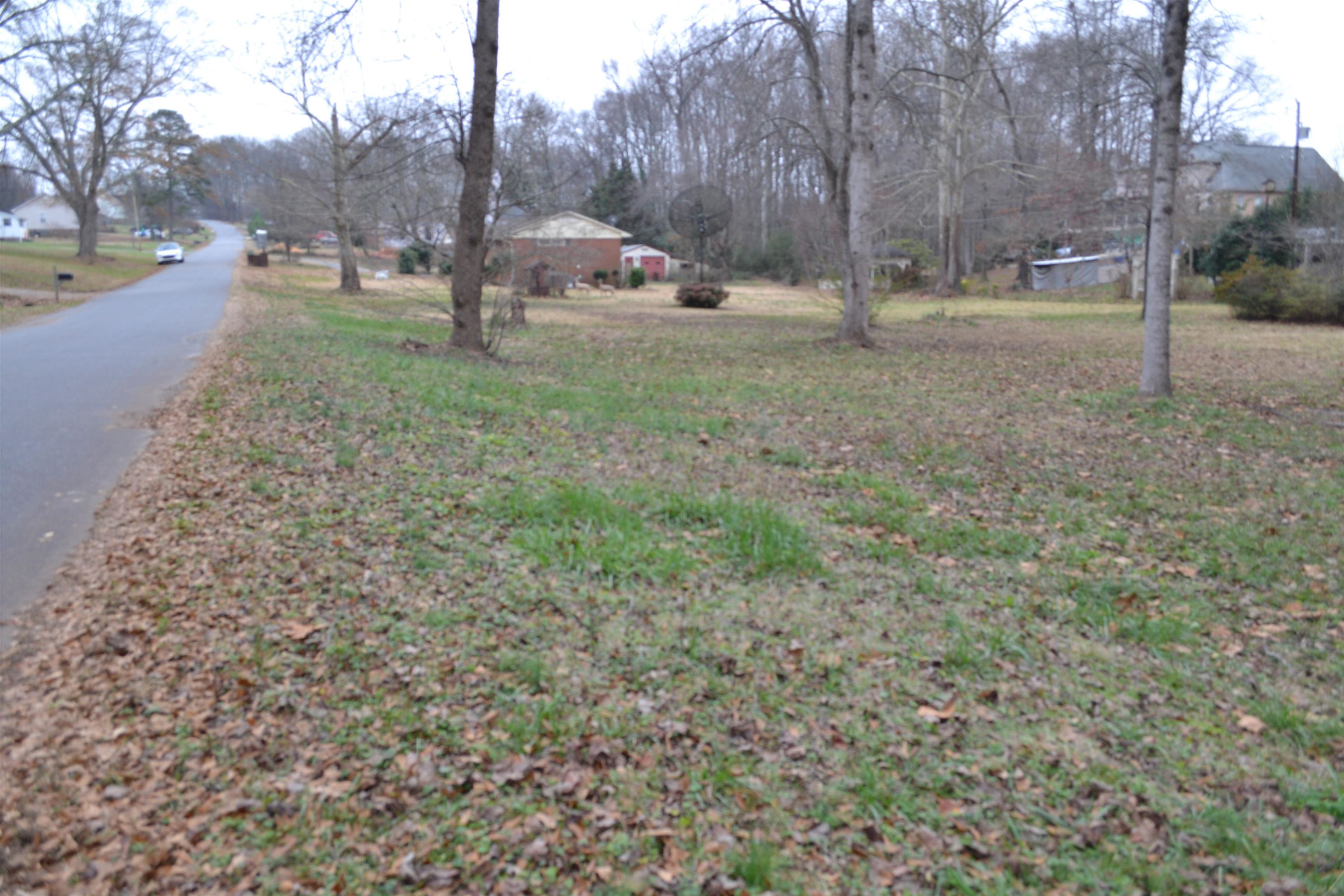 325 Johnson Avenue Inman, SC 29349 - Photo 2 of 34