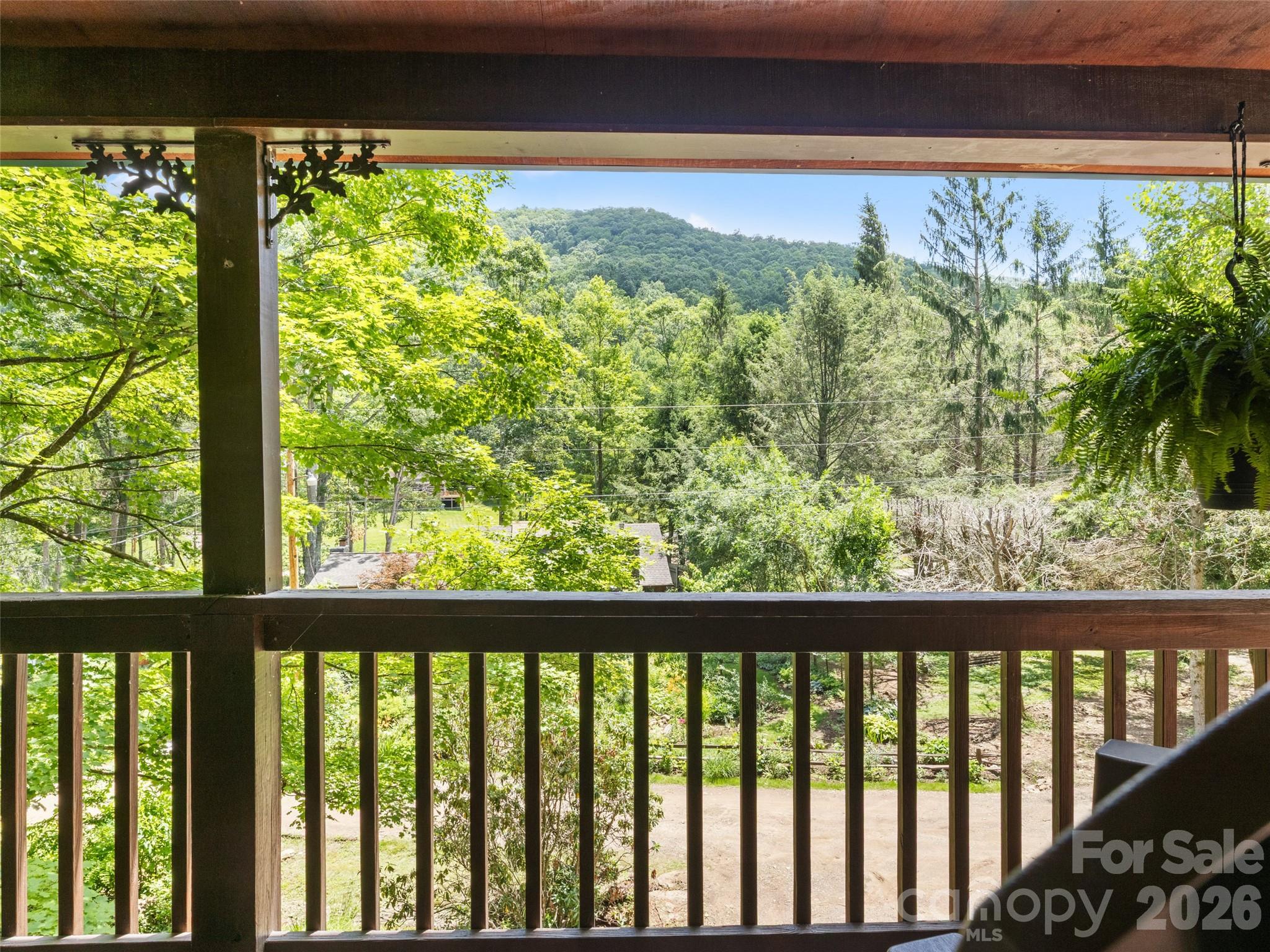 246 Mountain Farm Road Burnsville, NC 28714 - Photo 26 of 37