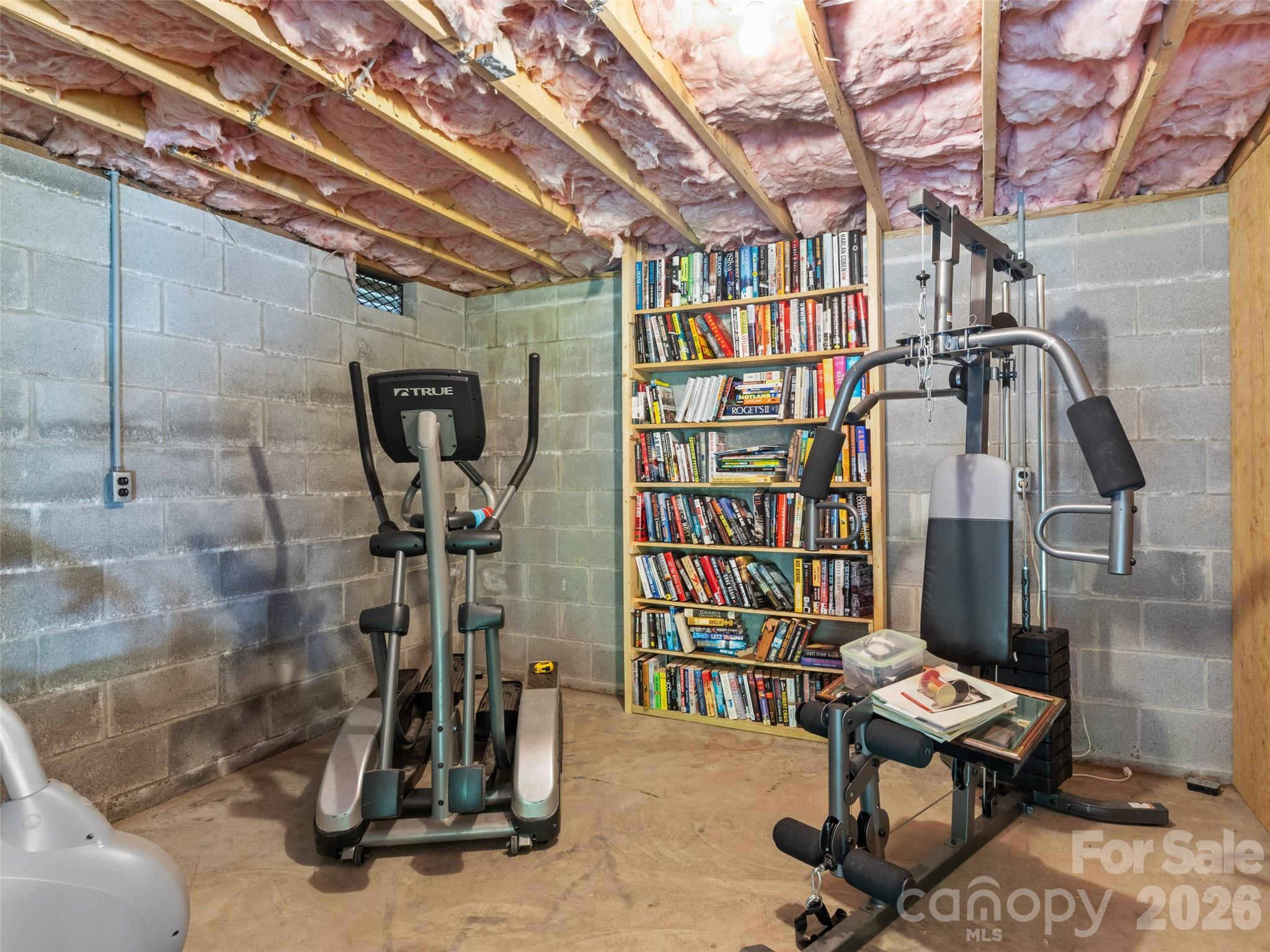 246 Mountain Farm Road Burnsville, NC 28714 - Photo 29 of 37