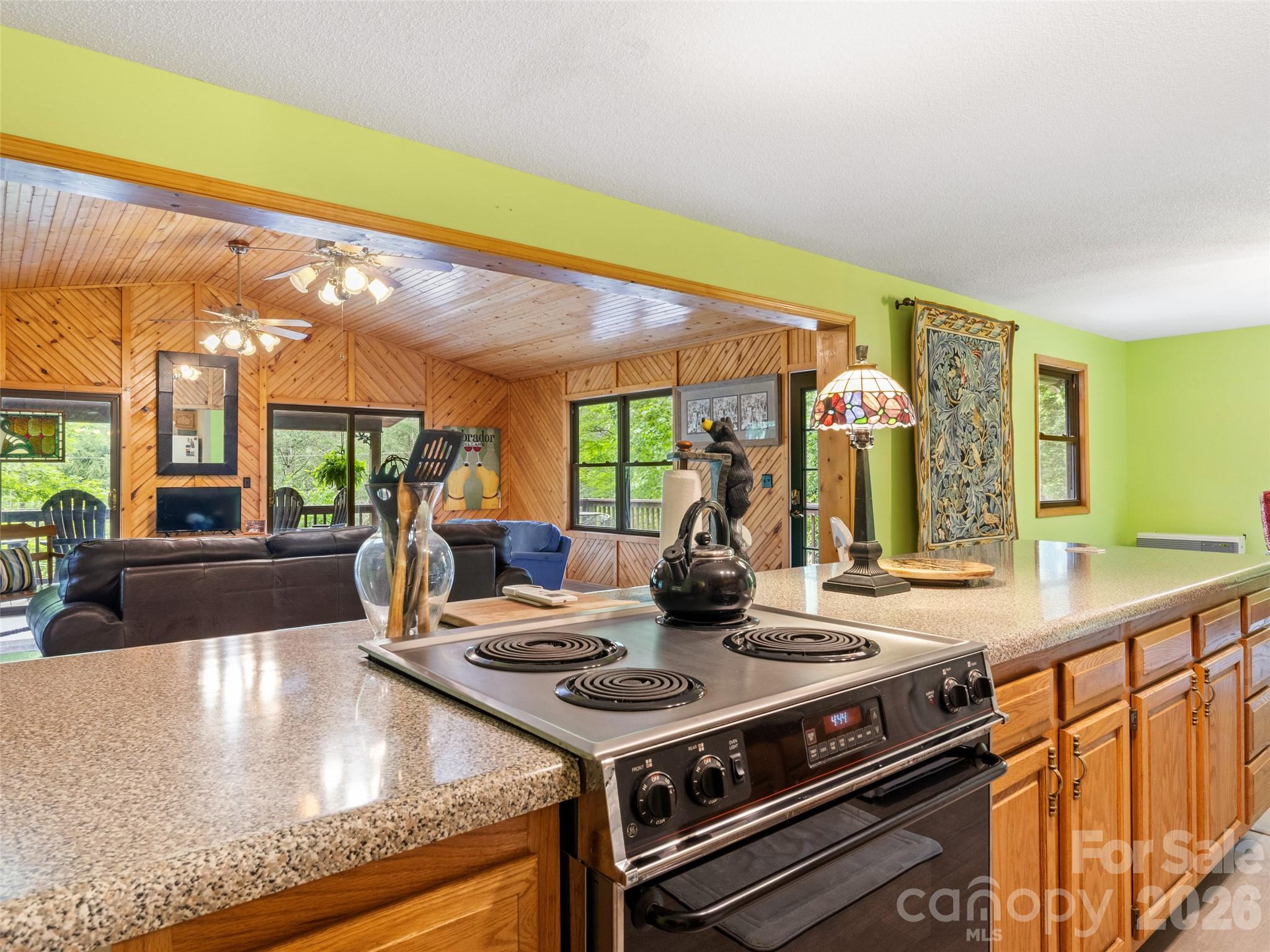 246 Mountain Farm Road Burnsville, NC 28714 - Photo 10 of 37