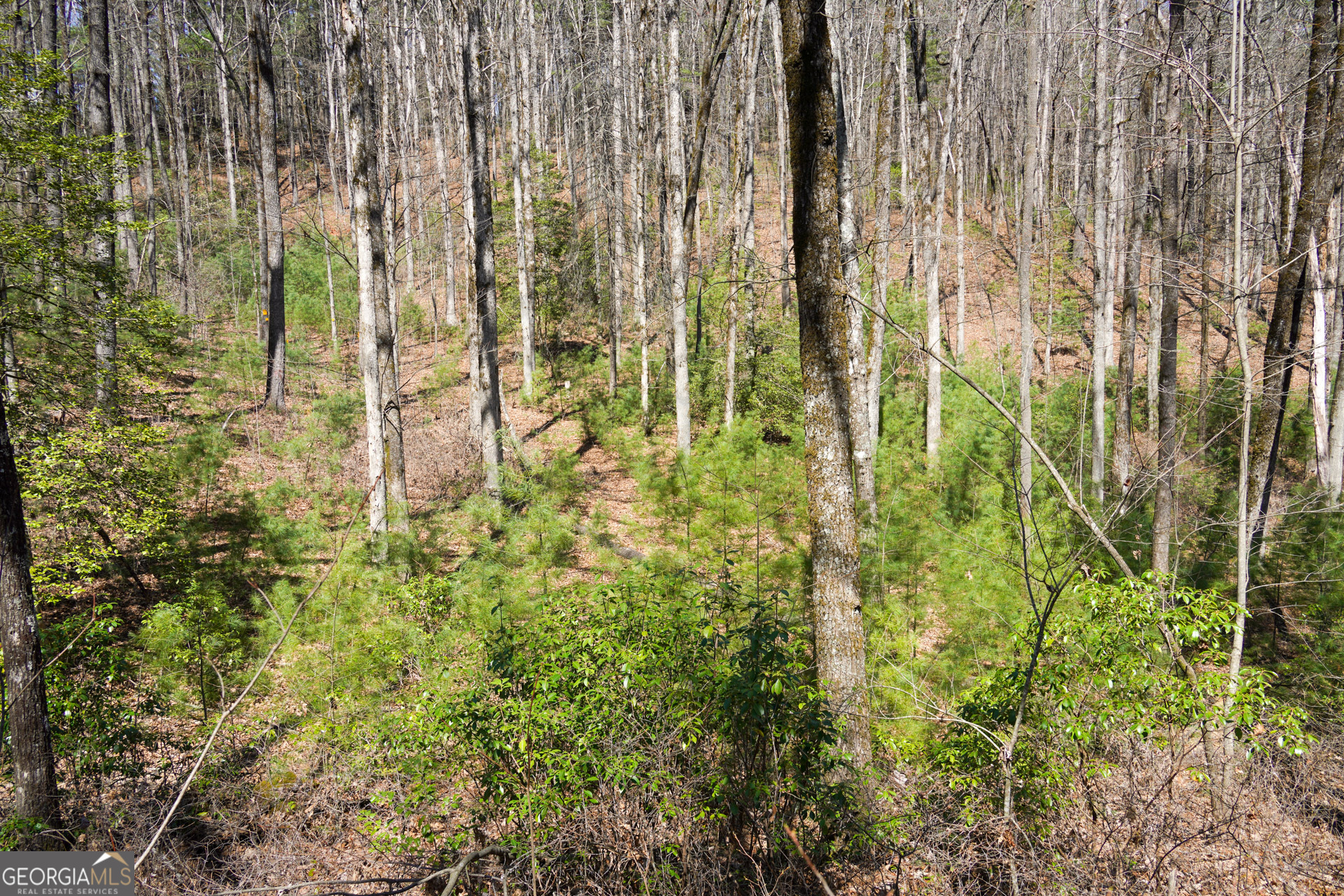 0 Hale Ridge Road Clayton, GA 30525 - Photo 16 of 25