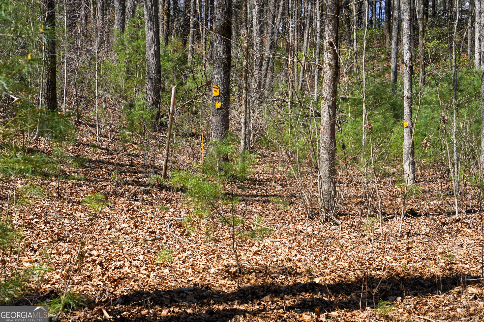 0 Hale Ridge Road Clayton, GA 30525 - Photo 17 of 25