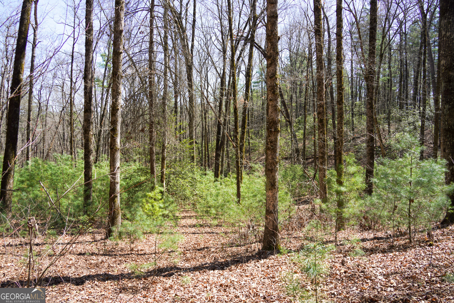 0 Hale Ridge Road Clayton, GA 30525 - Photo 18 of 25