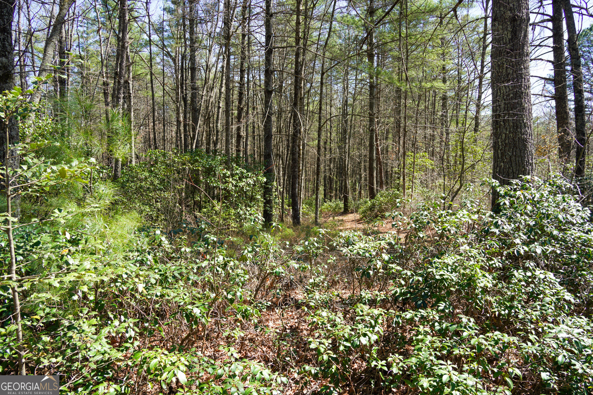 0 Hale Ridge Road Clayton, GA 30525 - Photo 19 of 25