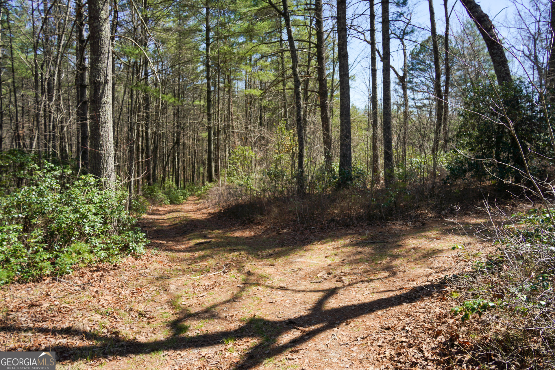 0 Hale Ridge Road Clayton, GA 30525 - Photo 20 of 25