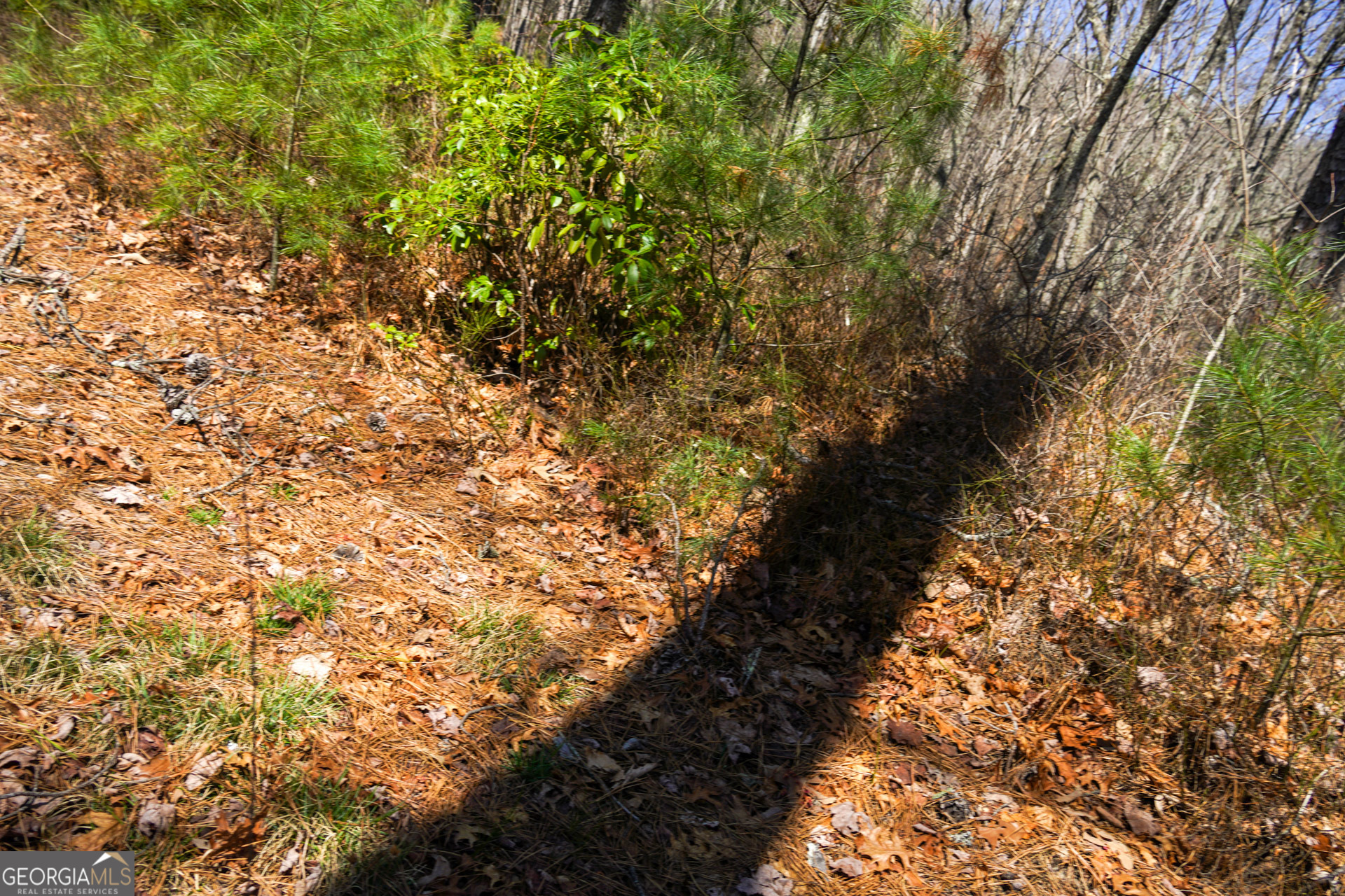 0 Hale Ridge Road Clayton, GA 30525 - Photo 21 of 25