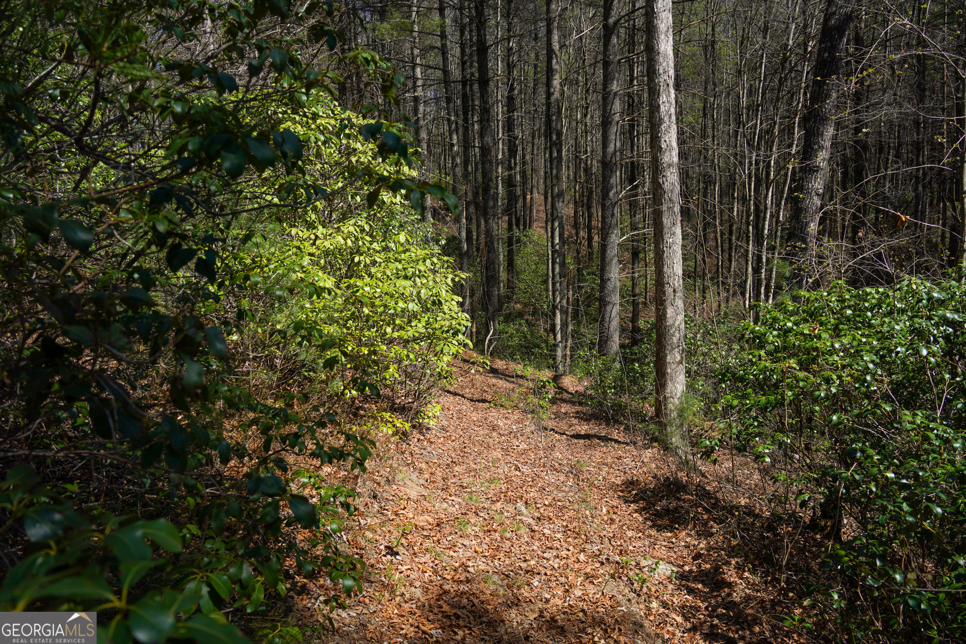 0 Hale Ridge Road Clayton, GA 30525 - Photo 22 of 25