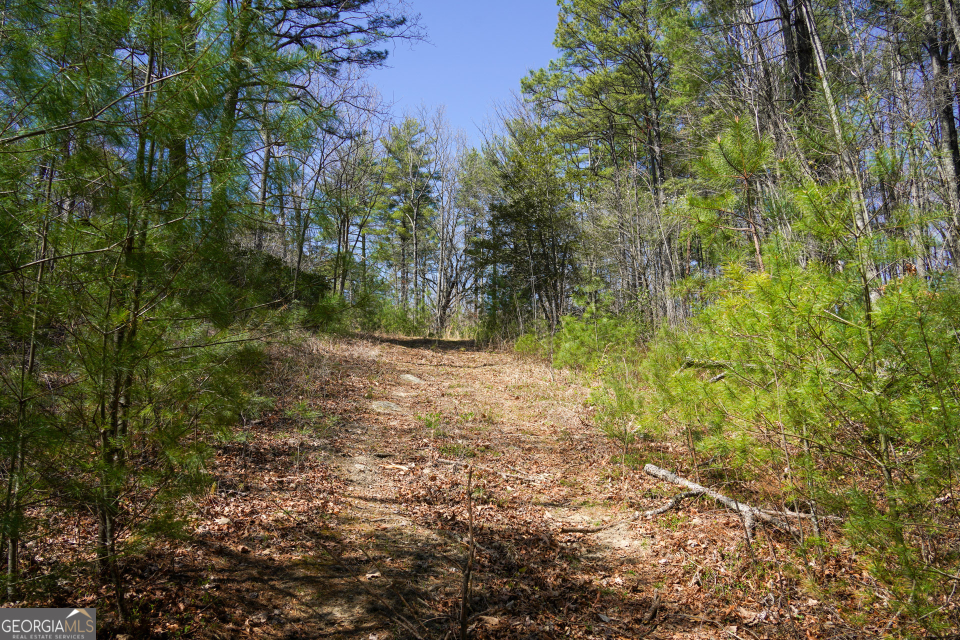 0 Hale Ridge Road Clayton, GA 30525 - Photo 23 of 25