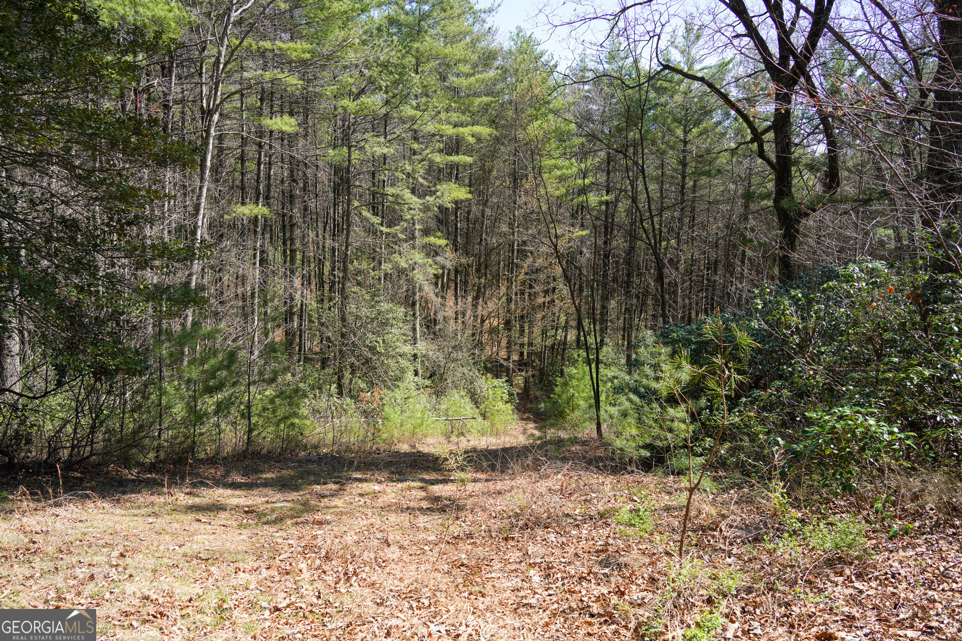 0 Hale Ridge Road Clayton, GA 30525 - Photo 24 of 25