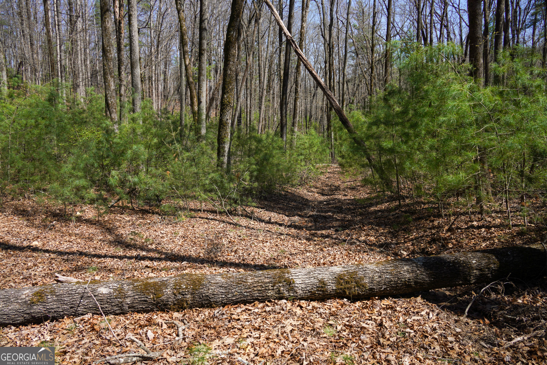 0 Hale Ridge Road Clayton, GA 30525 - Photo 5 of 25