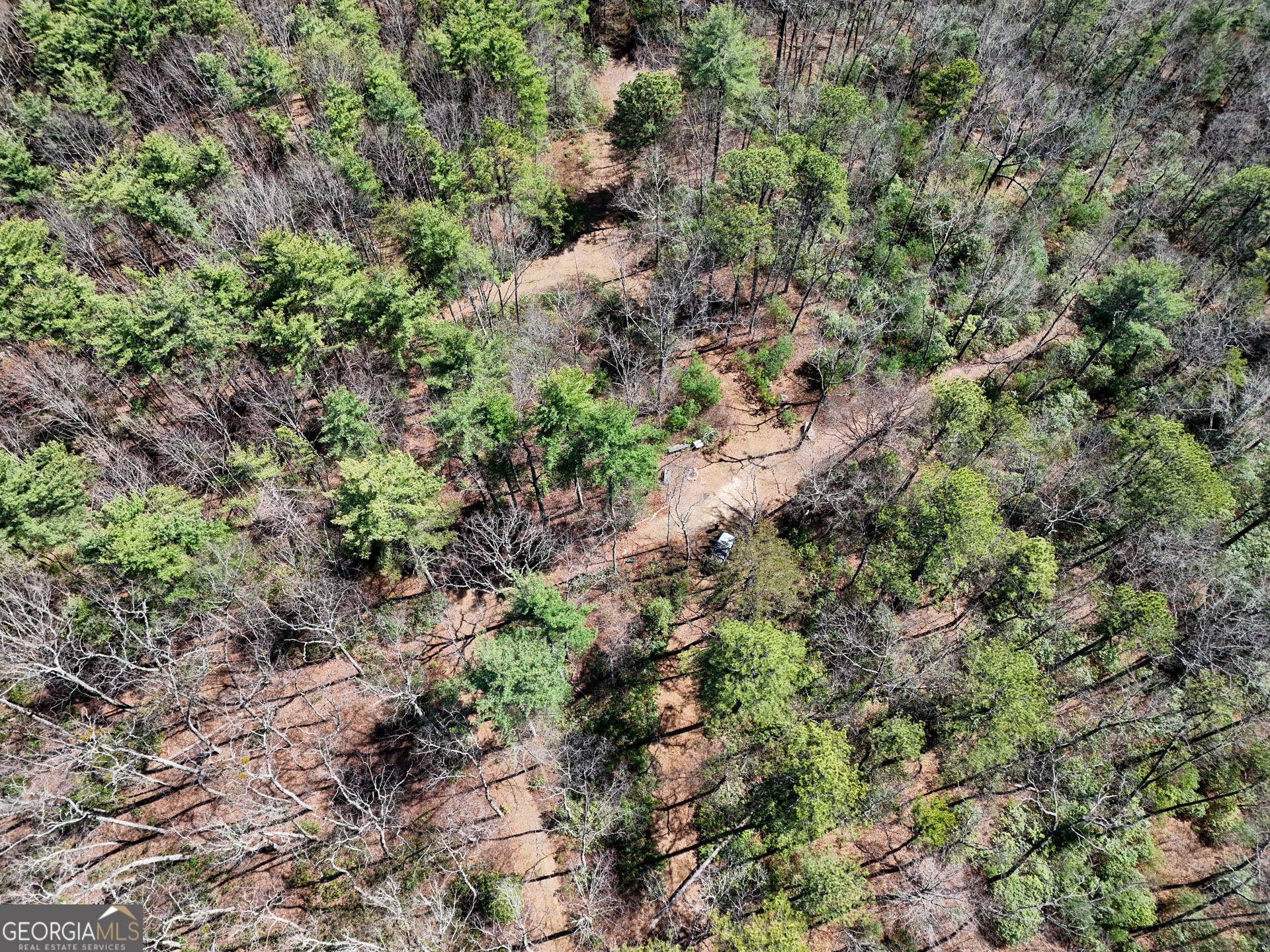 0 Hale Ridge Road Clayton, GA 30525 - Photo 6 of 25