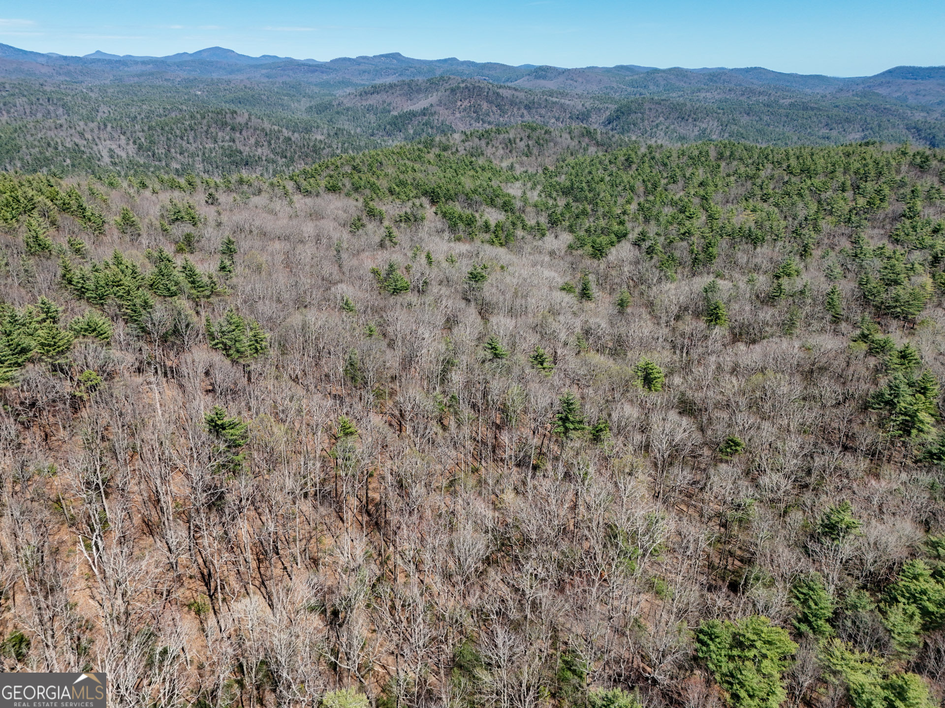 0 Hale Ridge Road Clayton, GA 30525 - Photo 7 of 25