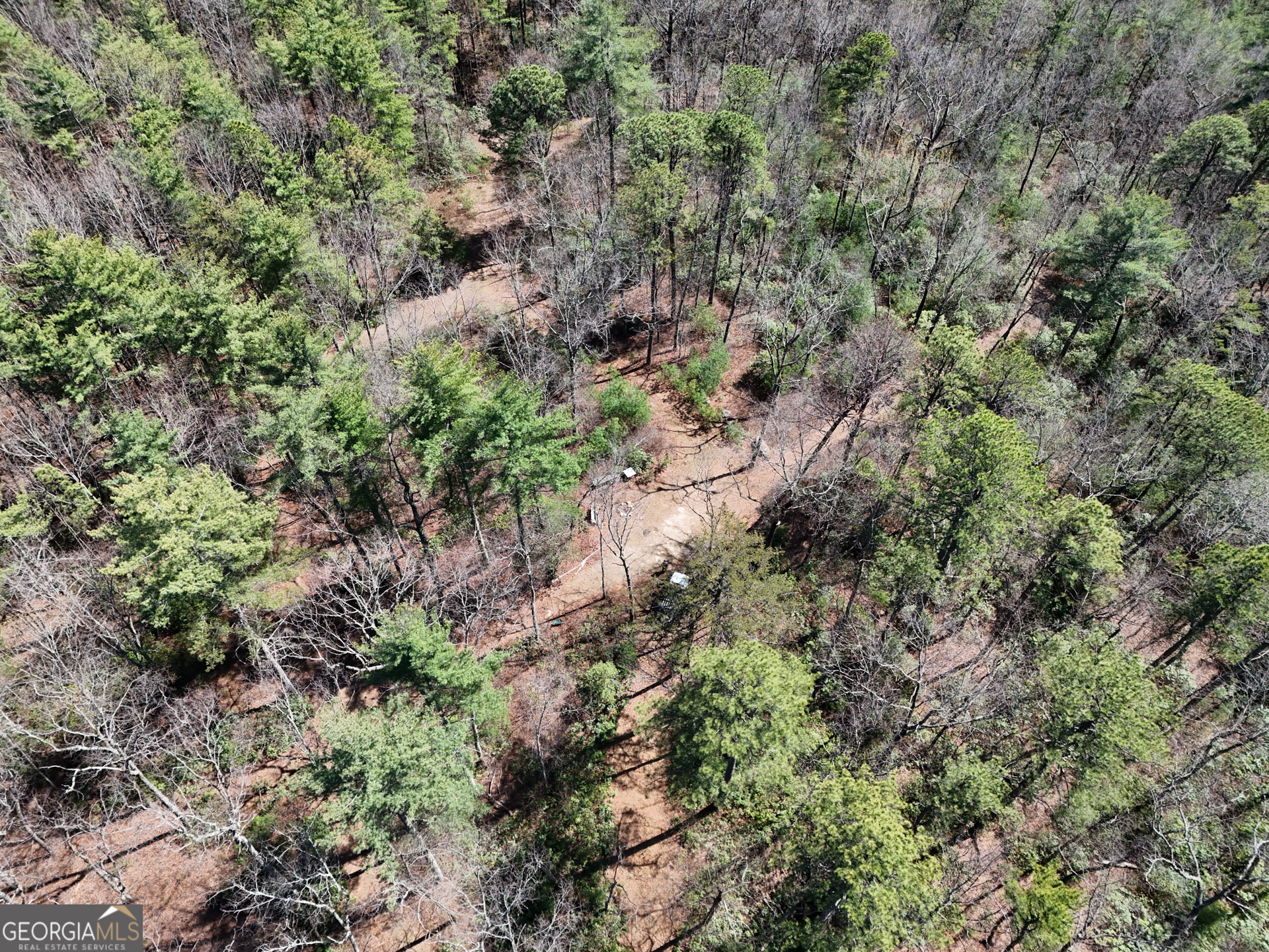 0 Hale Ridge Road Clayton, GA 30525 - Photo 8 of 25