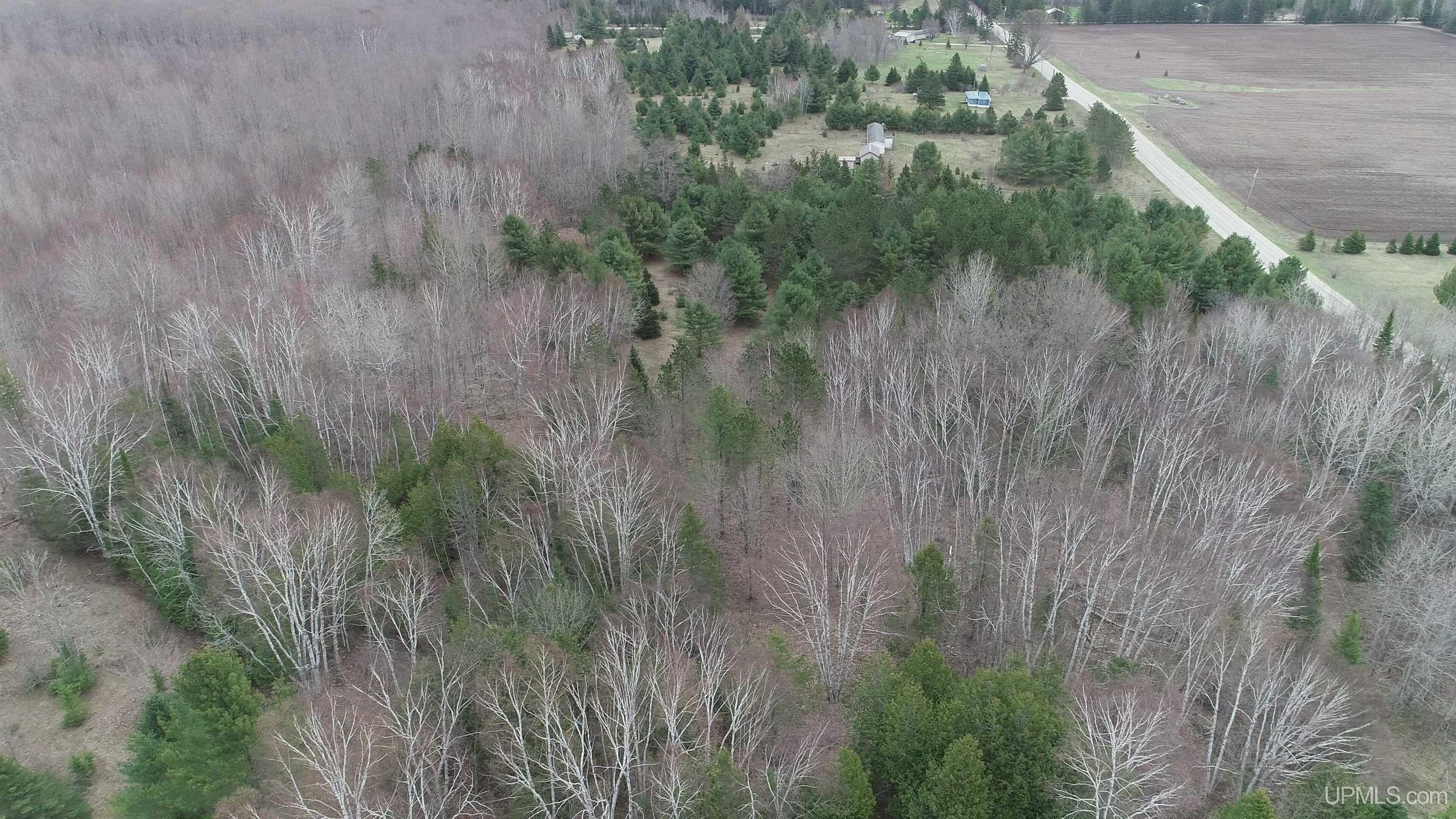 East 20 Quarry Road Gulliver, MI 49840 - Photo 26 of 47