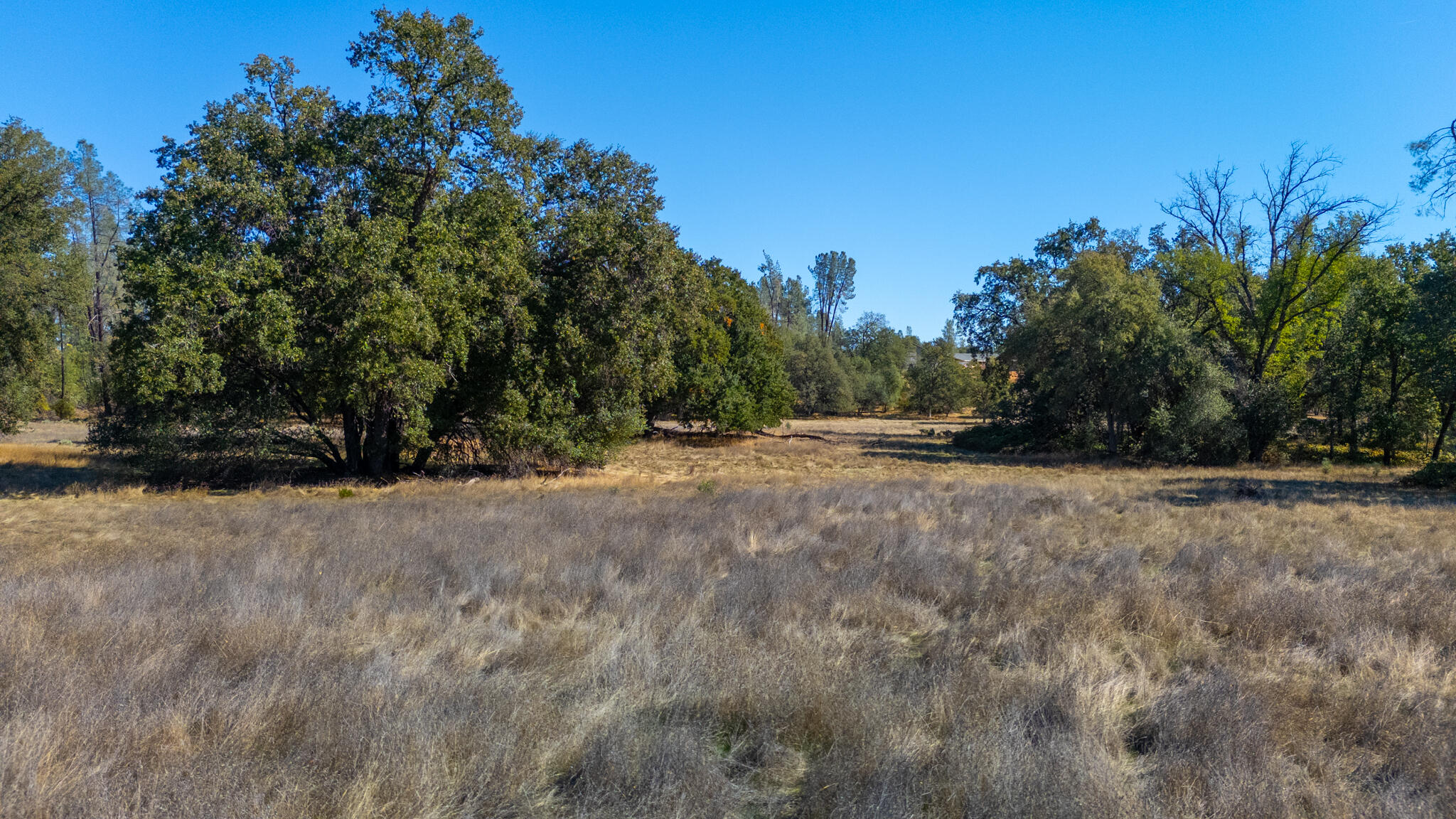0 Honeybee Road Redding, CA 96001 - Photo 11 of 18 a view of outdoor space with trees