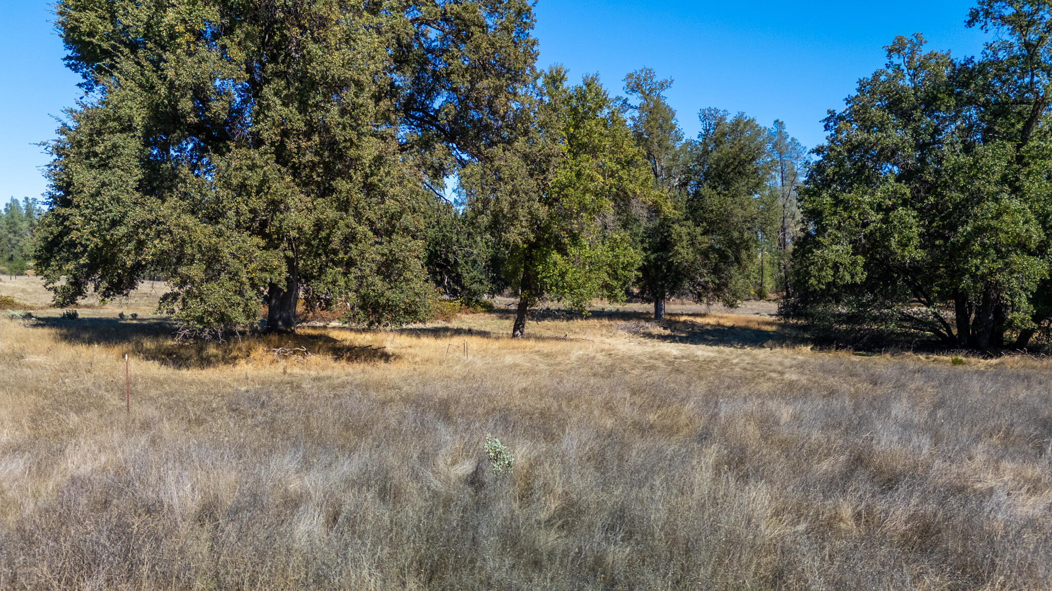 0 Honeybee Road Redding, CA 96001 - Photo 13 of 18 a view of outdoor space with trees