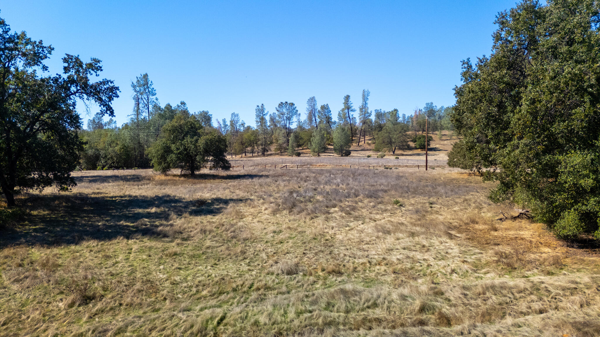 0 Honeybee Road Redding, CA 96001 - Photo 4 of 18 a view of a yard with a trees