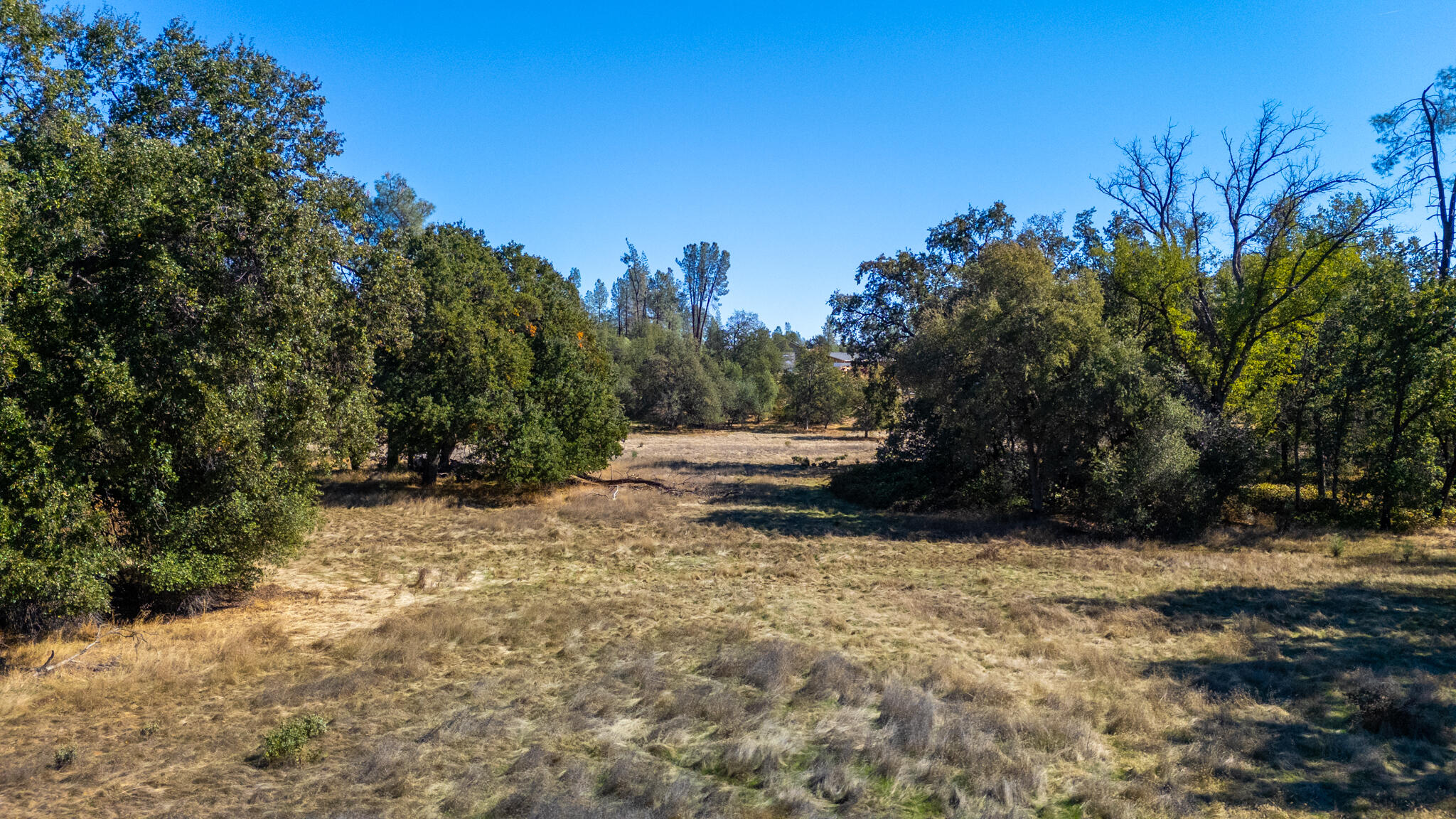 0 Honeybee Road Redding, CA 96001 - Photo 7 of 18 a view of backyard with green space