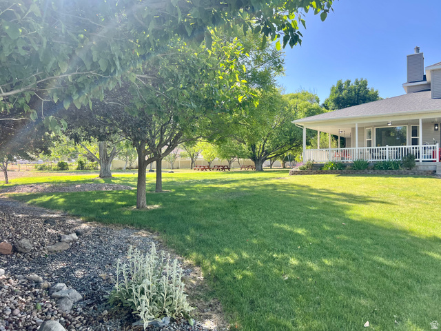 812 East Bates Cyn Road Tooele, UT 84074 - Photo 91 of 144 Expansive green lawn with mature trees and a covered porch