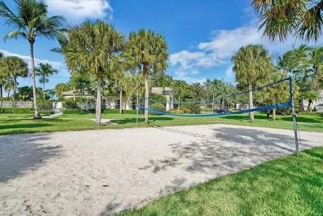 a view of a park with palm trees