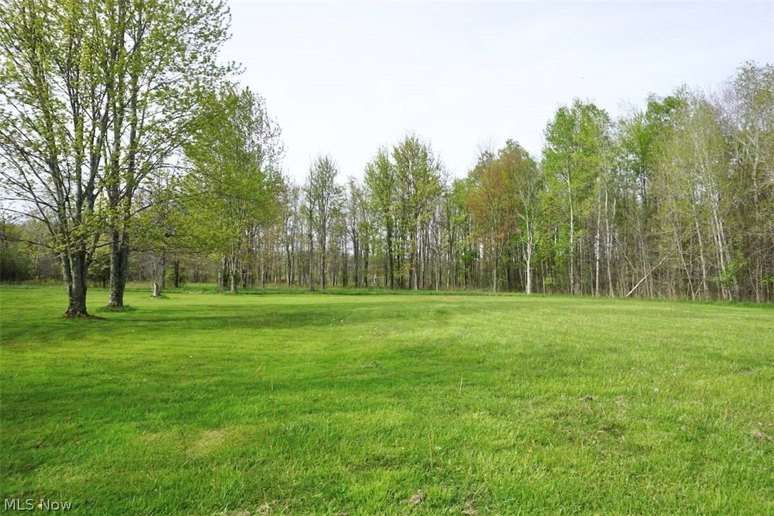 5875 Trumbull Road Geneva, OH 44041 - Photo 25 of 33 Yard behind the pond