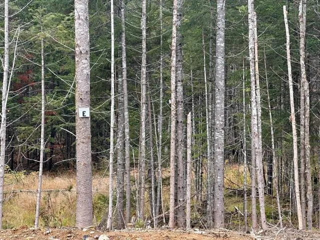 $70,000 | Lot J South Lot J S Whitetail Way, Greenville, ME 04441