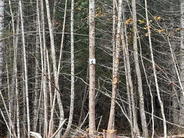 $70,000 | Lot J South Lot J S Whitetail Way, Greenville, ME 04441