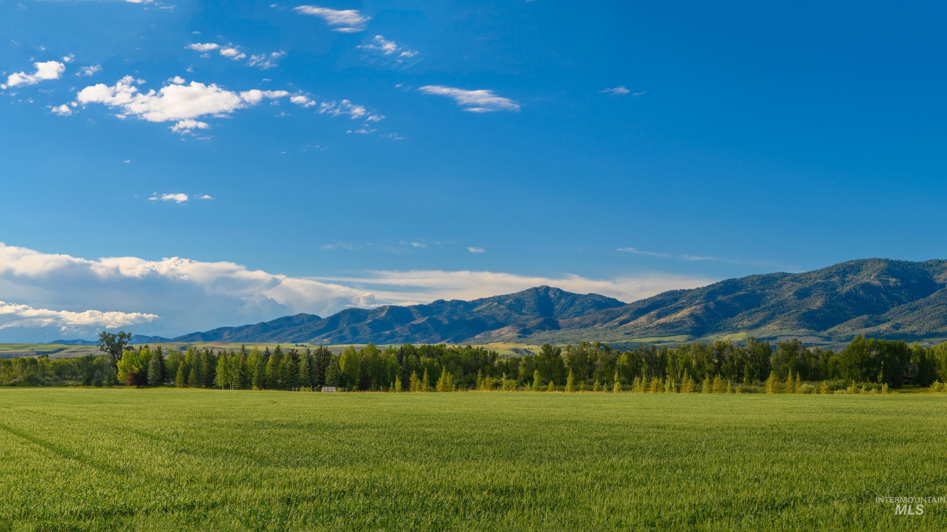 567 Snake River Road Swan Valley, ID 83449 - Photo 48 of 50 Gallery Image 48