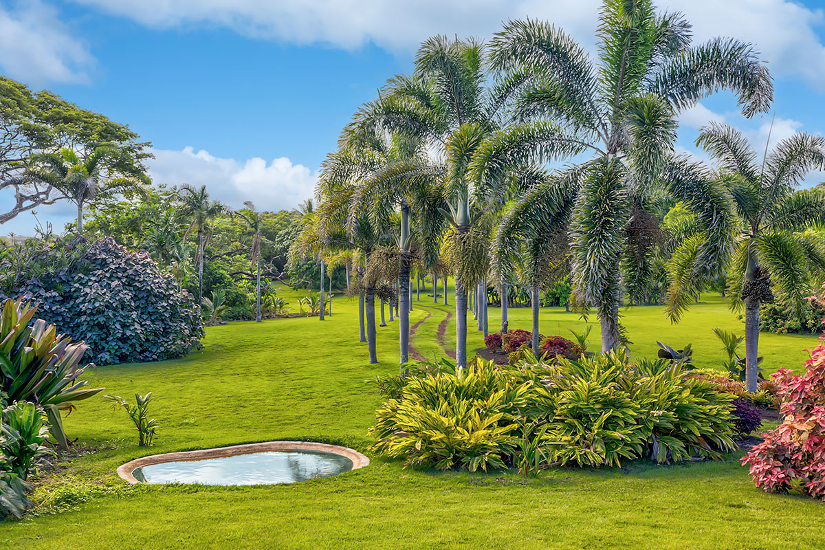 13-5725 Kalapana Kapoho Beach Road Pahoa, HI 96778 - Photo 20 of 25 a view of a swimming pool with a garden