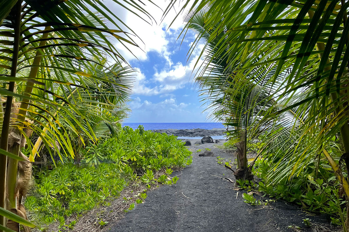 13-5725 Kalapana Kapoho Beach Road Pahoa, HI 96778 - Photo 23 of 25 a view of a garden