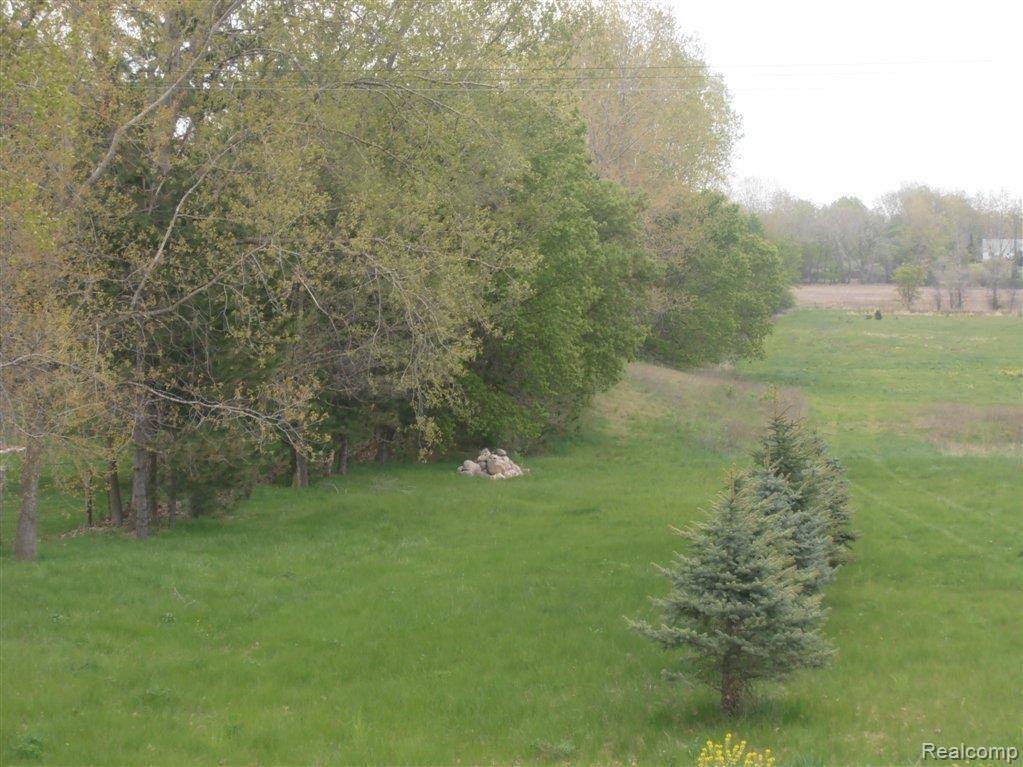 Vacant Pingree Road Howell, MI 48843 - Photo 6 of 7 003.JPG