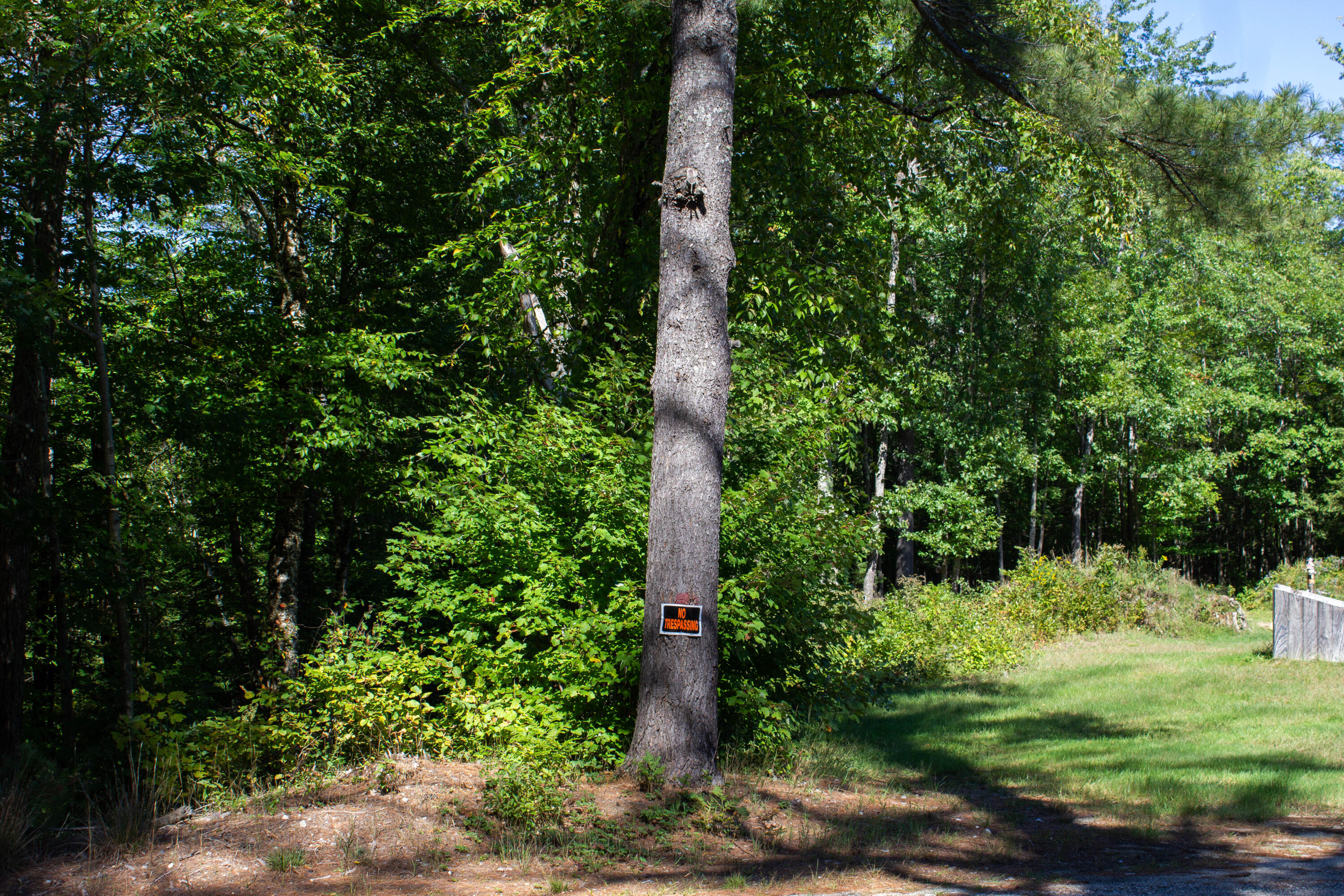 Lot 21 Canton Point Road Dixfield, ME 04224 - Photo 2 of 19 IMG_7899
