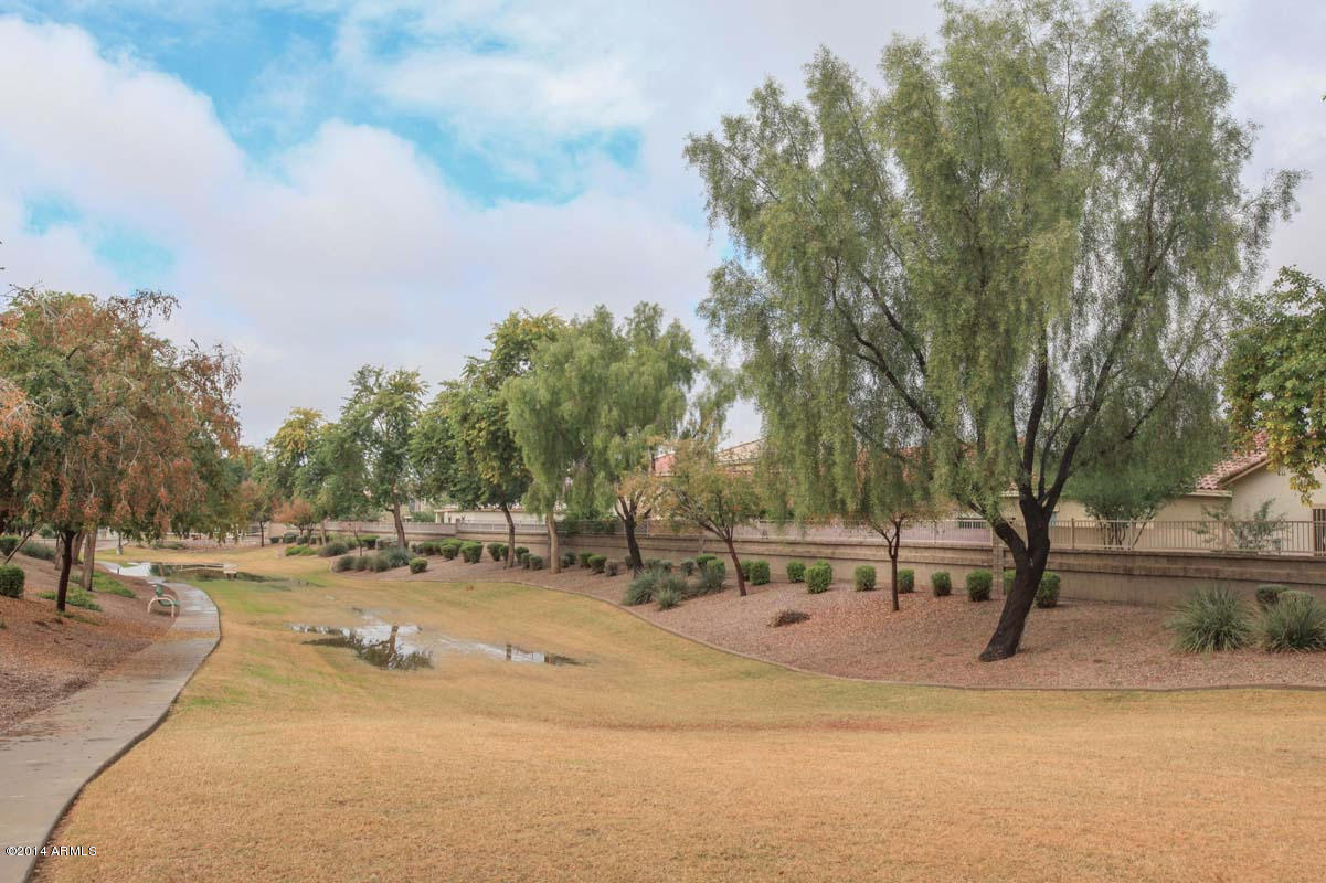 2547 West Bloch Road Phoenix, AZ 85041 - Photo 18 of 18 Community Common Area Behind Home
